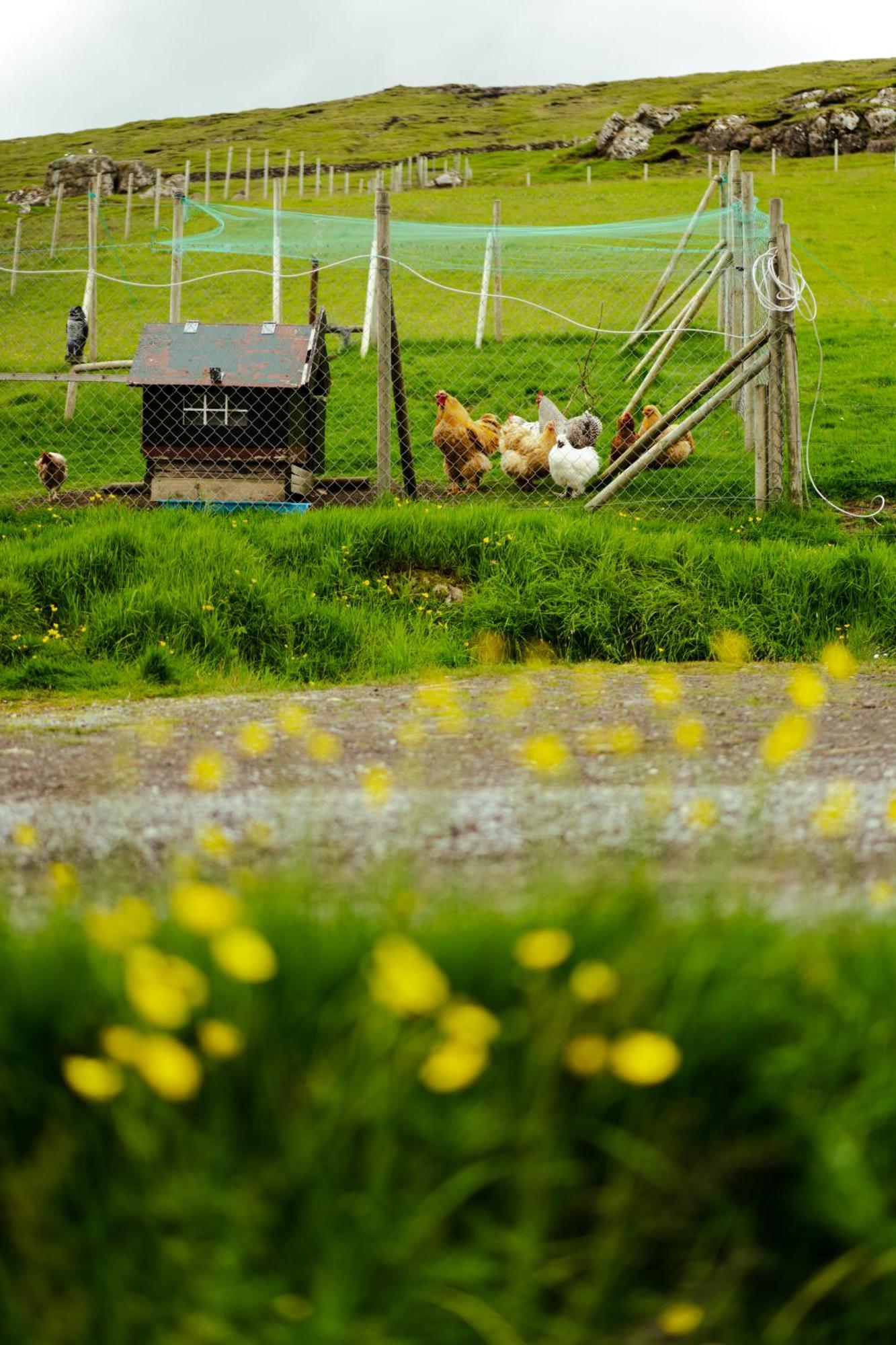 A Snaetu - Serene Village Stay Surrounded By Nature Sandavagur Bagian luar foto